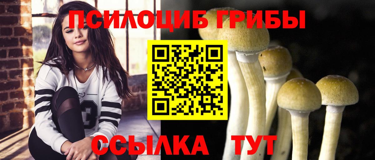 Псилоцибиновые грибы Psilocybe  где купить наркоту  Саров  Вход с VPN 